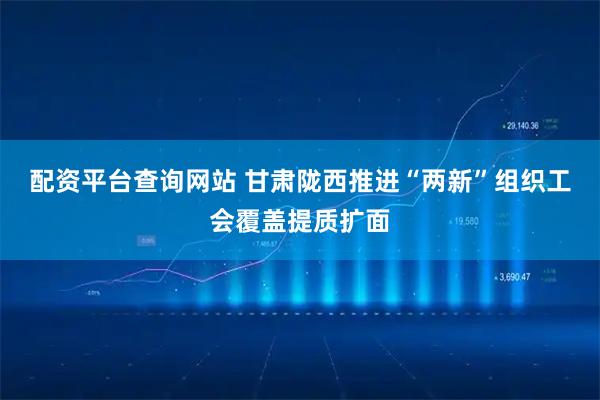 配资平台查询网站 甘肃陇西推进“两新”组织工会覆盖提质扩面